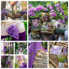 the collage is full of purple flowers