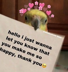 a bird holding a sign that says hello i just wanna to let you know that you make me so happy, thank you