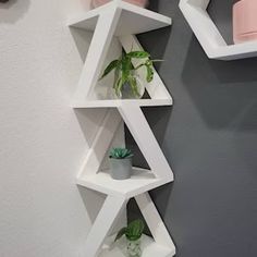 three white shelves with plants in them on the wall