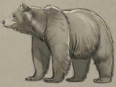 a drawing of a bear standing on one leg