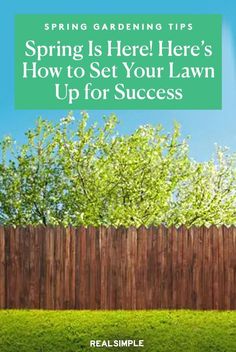 Learn how to prepare your lawn for spring with this guide to knowing when to get started on your late winter or early spring lawn care. Before you start on your spring lawn care, read up on when to start preparing your lawn for spring. Overseeding Lawn Spring, How To Get Green Grass Lawn, Reseeding Lawn Fall, Spring Lawn Care For Beginners, Summer Lawn Care, Watering Lawn