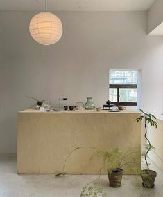 a room that has some plants on the counter and potted plants in front of it