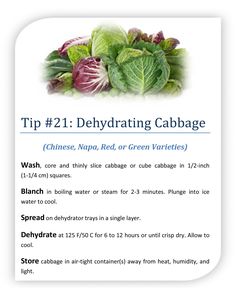 an image of cabbages and lettuce with the text tips for dehydrating cabbage