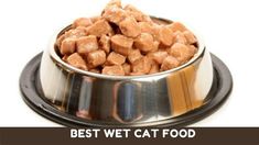 a bowl full of cat food sitting on top of a white background with the words best wet cat food