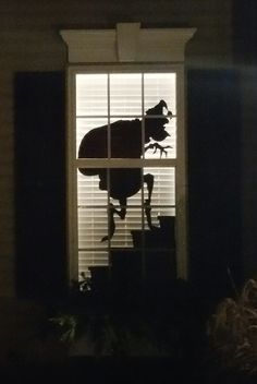 the silhouette of a dog standing on top of a window sill in front of a house