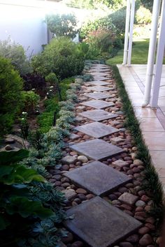 a stone path is lined with plants and rocks