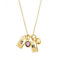 This Hand Stamped Rectangle Initial Birthstone Gold Necklace is a fun and trendy gift for any friend or family member. You can choose up to six gold plated sterling silver 1/2 by 1/4 inch rectangle tags to be hand stamped with the initials of your choosing. Add a pop of color with up to six 1/4 inch birthstones to represent kids  grandkids or anyone special in your life. Family Tree Necklace, Trendy Gift, Birthstone Jewelry, Gold Plated Sterling Silver, Dog Tags, Hand Stamped, Birthstone, 4 Inch, Color Pop