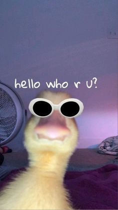 a yellow duck with sunglasses on it's head and the words hello who r u?