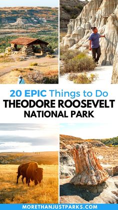 the theodore roosevelt national park with bisons and mountains in the background, text reads 20 epic things to do theodore roosevelt national park