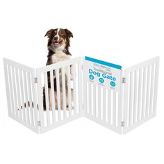 a dog is sitting in a white gate