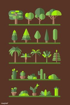 an illustrated set of trees and plants on shelves