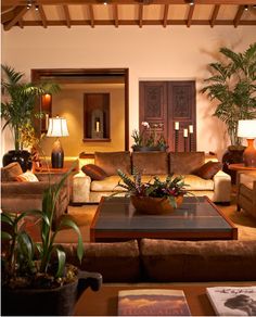 a living room filled with lots of furniture next to tall plants and potted plants