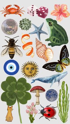 an image of various insects and plants