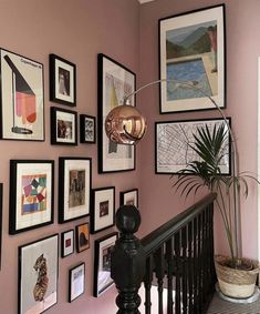 a staircase with pictures on the wall and a potted plant