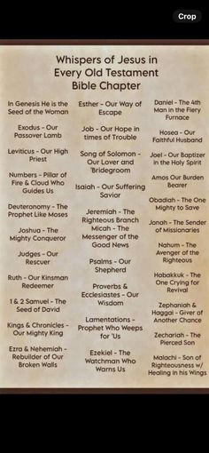 What Each Book Of The Bible Is About, Bible Verses For Men, Scripture Marking, Learn The Bible, Bible Study Topics, Bible Study Help, Bible Study Notebook, Christian Bible Study, Bible Study Lessons