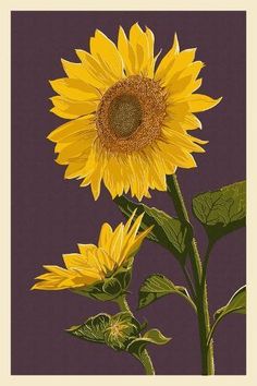 a painting of a sunflower on a purple background