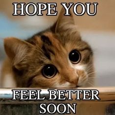 a cat is peeking over the edge of a table with text that reads, hope you feel better soon