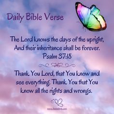 a colorful butterfly flying in the sky with a bible verse below it that reads, daily bible verse