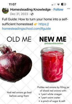 an onion next to a glass jar filled with liquid and the caption reads, old me new me