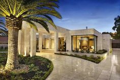 a palm tree in front of a modern home at night with lights on the windows