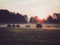 hay bales in a field with the sun setting behind them and fog coming off