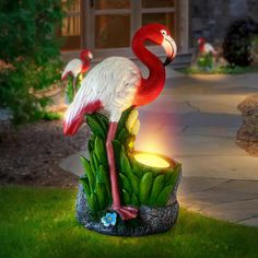 two flamingos are standing in the grass next to a lit candle and some plants