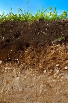 the soil is brown and has grass growing on it