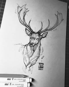 a pencil drawing of a deer's head with antlers on it and three smaller pencils next to it