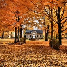 a house surrounded by trees in the fall