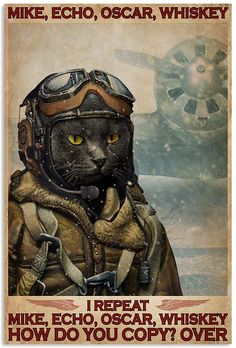 a poster with an image of a cat wearing a pilot's helmet