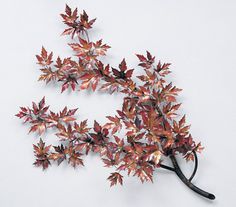 a tree with red leaves on it is shown in the middle of a card board