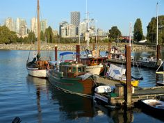 several boats are docked in the water with city buildings in the backgrouds