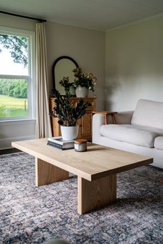 a living room with a couch, coffee table and potted plant