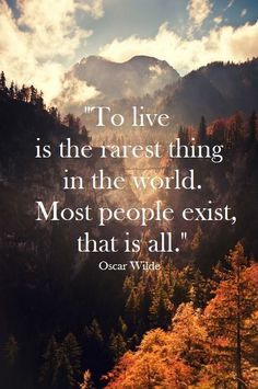 the quote to live is the rarest thing in the world most people exist, that is all