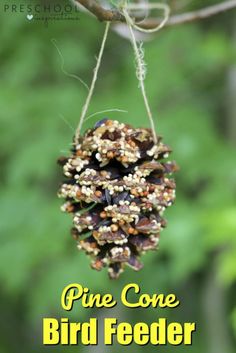 pine cone bird feeder hanging from a tree branch with the words pine cone bird feeder on it