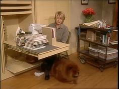 a woman sitting at a desk with a brown dog in front of her on the floor