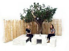 two women sitting on benches in front of a tree