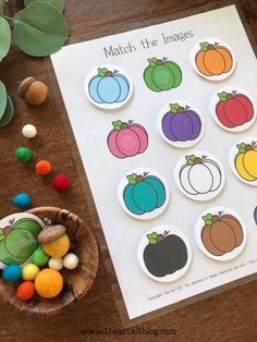 a paper plate with different colored pumpkins and pom poms