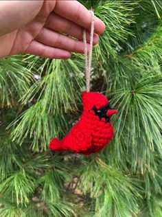 a small red bird ornament hanging from a pine tree in someone's hand