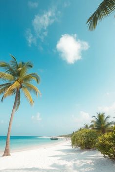 lCoastal bliss | Summer beach vibes | Journey by the sea | Ocean aesthetics | Relaxing travel spots | Scenic coastal views | Beach photography | Tropical journey  
#beachbliss #coastalgetaway #scenicviews #tropicaljourney #summer_vibes