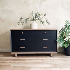 a black dresser sitting next to a potted plant on top of a hard wood floor