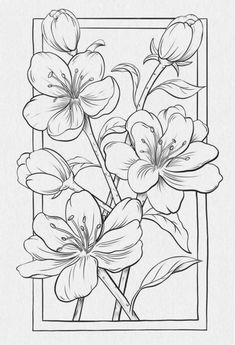 Big Floral, Doodle Art Drawing, Cute Sketches, Detailed Coloring Pages, Bleach Art, Floral Drawing, Cool Coloring Pages, Outline Drawings, Coloring Book Art