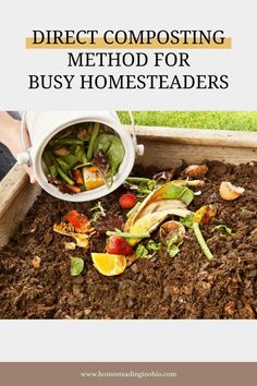 how to start composting in 4 easy steps