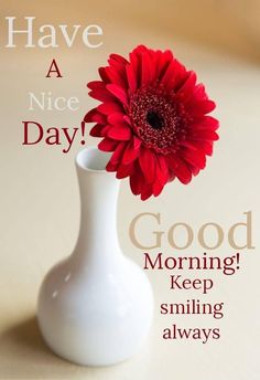 a red flower in a white vase with the words have a nice day on it