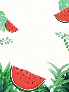 watermelon slices and leaves on a white background