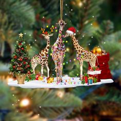 three giraffes are standing in front of a christmas tree with presents on it