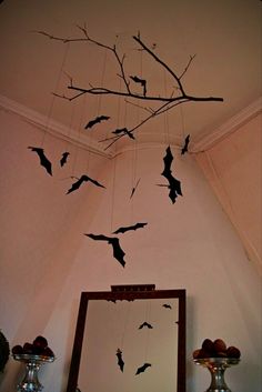 bats are hanging from the ceiling in front of a mirror