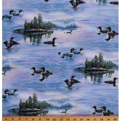 ducks are swimming in the water with trees and clouds behind them on a blue background