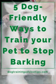 a dog with its mouth open and the words 5 dog friendly ways to train your pet to stop barking