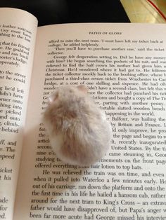 a fluffy white ball sitting on top of an open book next to a stuffed animal